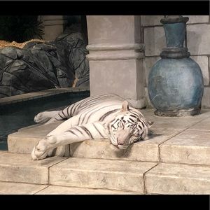 Meet your Posher, Theresa